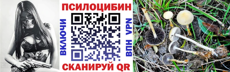 Галлюциногенные грибы Psilocybe  Ефремов 